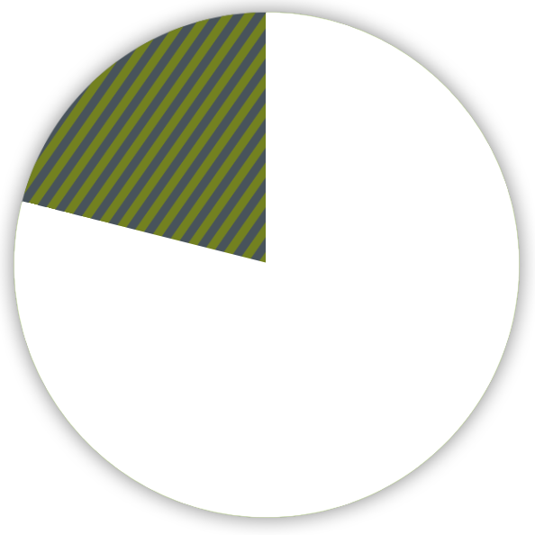 pie chart shows one fifth